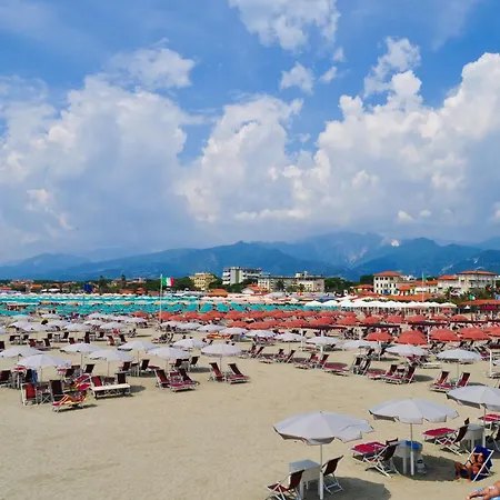 Terrazza Apuana A Few Steps From The Sea - Happy Appartamento *